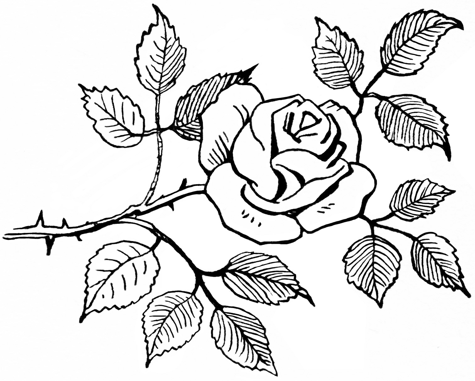 free rose clipart black and white - photo #10