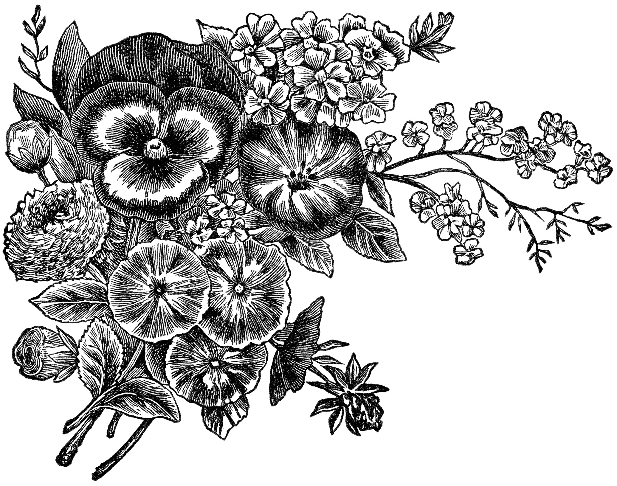 clipart flowers black and white free - photo #2