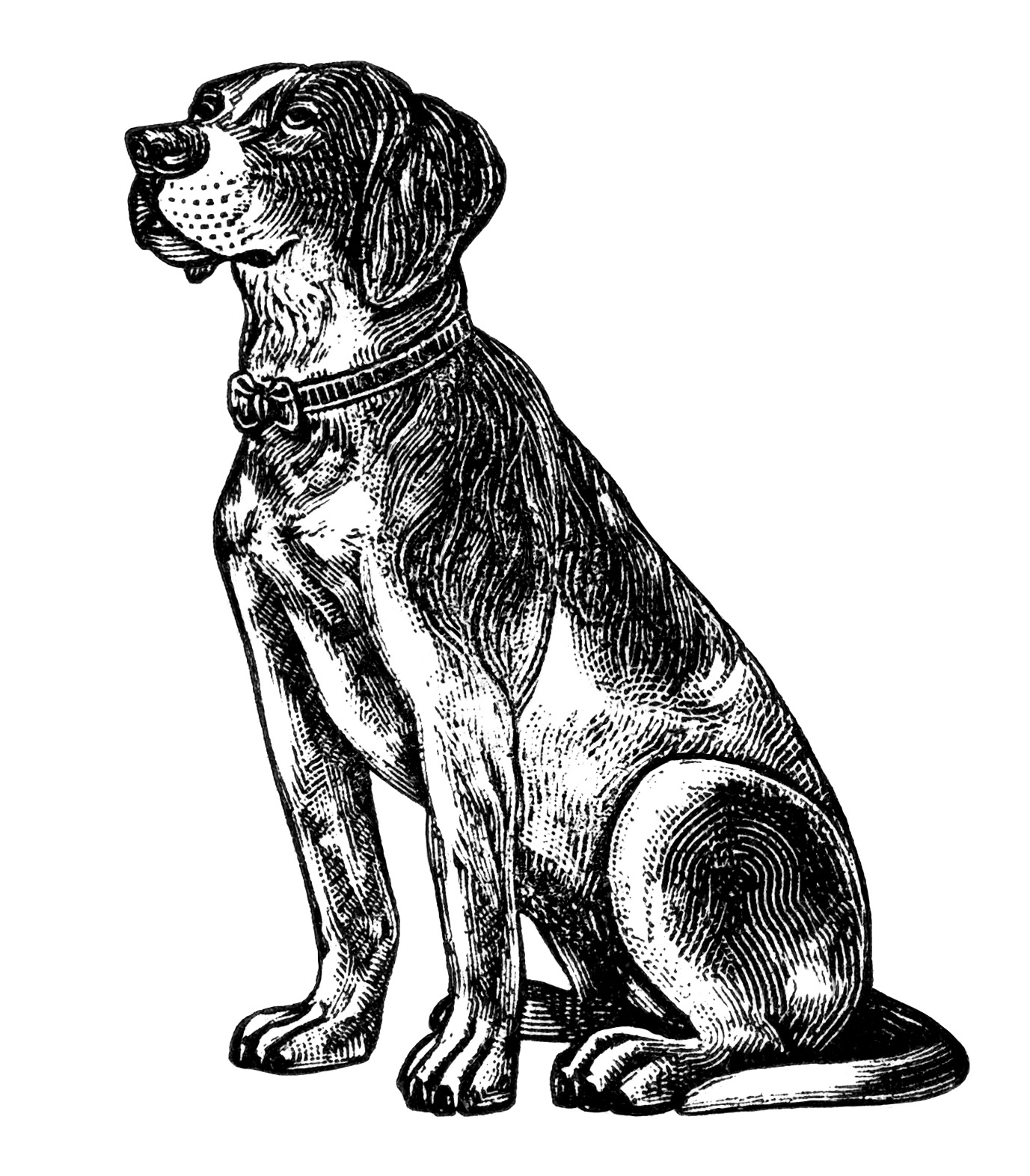 free dog clipart black and white - photo #44