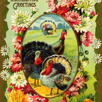 Free vintage clip art turkeys in field framed with flowers postcard image