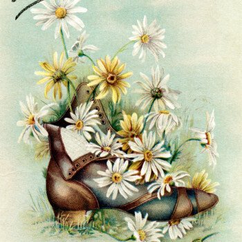 Free vintage clip art trading card bouquet of daisies in boot