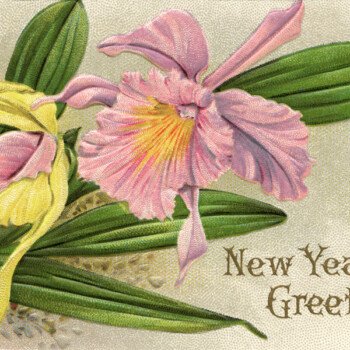 Free vintage clip art purple flower New Year postcard
