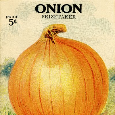 free vintage clip art garden seed packet onion de giorgi bros