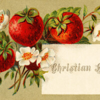 Free vintage clip art Victorian calling card strawberries