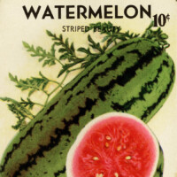watermelon seed packet clip art
