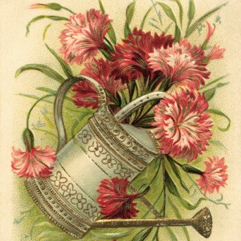 Free vintage clip art watering can filled with flowers birthday postcard image