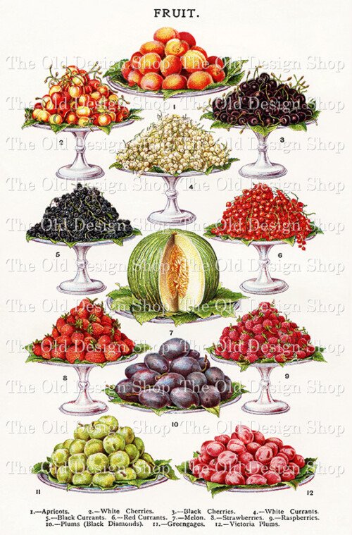 mrs beetons fruit, vintage food clipart, old cookbook page, printable food image, antique illustration fruit