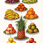 old cookbook page, mrs beeton's fruit, apples oranges bananas grapes pineapple, vintage food clipart, antique illustration food art