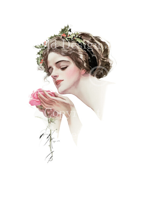 Harrison Fisher girl, The Christmas Rose, Fair Americans, Victorian lady admiring pink rose, Christmas holly in hair, lady with pink rose vintage image