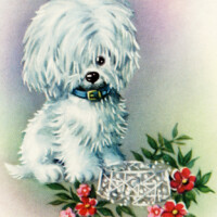 white puppy, free vintage clipart puppy, free digital image dog, white dog red flowers vintage image, public domain greeting card graphics