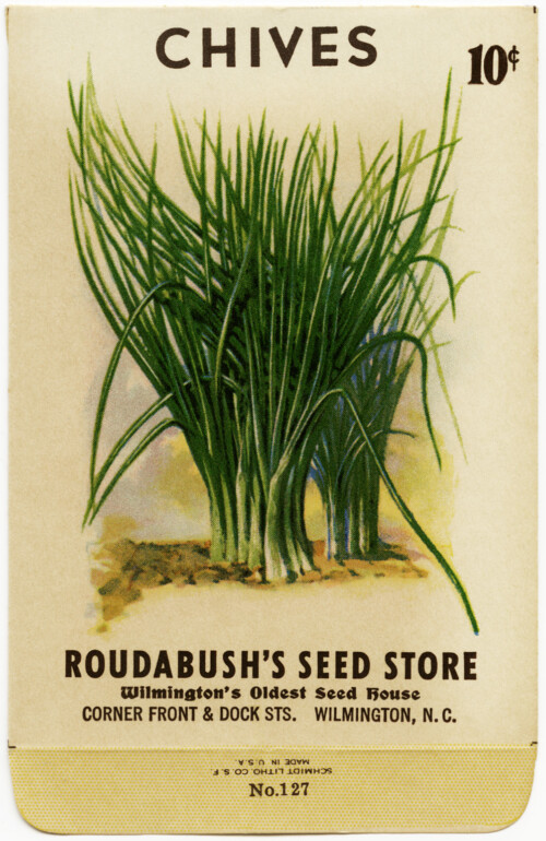 Free vintage clip art garden seed packet chives roudabush store