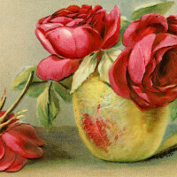 Free vintage clip art red roses in vase postcard