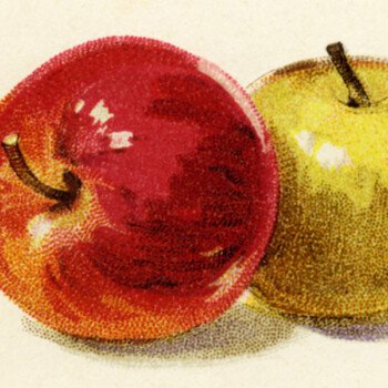 Free vintage clip art illustration apples