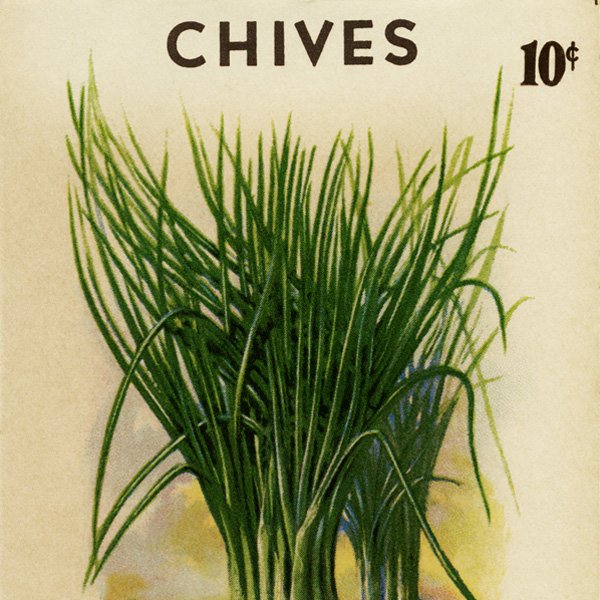 Free vintage clip art garden seed packet thyme roudabush store