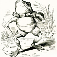 fairytale frog, free vintage clipart frog, free vintage image, frog illustration, frog walking sketch, frog wearing clothes, storybook frog