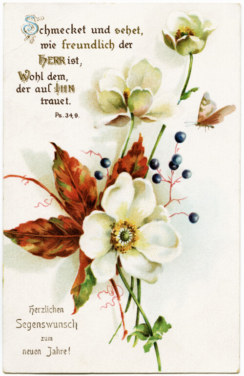 vintage floral postcard, fall colors floral postcard, free digital clipart flower, german new years postcard, white flower, red leaves, free printable flower postcard, vintage floral graphic image