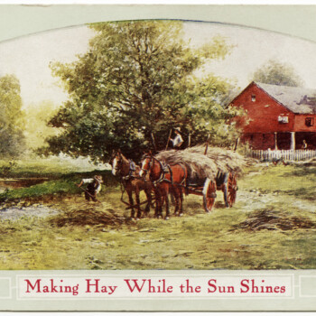 making hay while the sun shines, farm haying scene, farmers horses, free vintage digital postcard, old penny postcard, old fashioned haying, vintage farm image