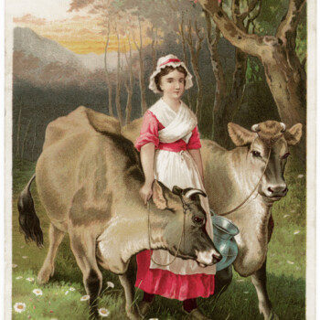 vintage trade card, Dr Jayne's expectorant, Dr Jayne's liniment, Dr Jayne's vermifuge, cows and milkmaid, victorian advertising card, free vintage image