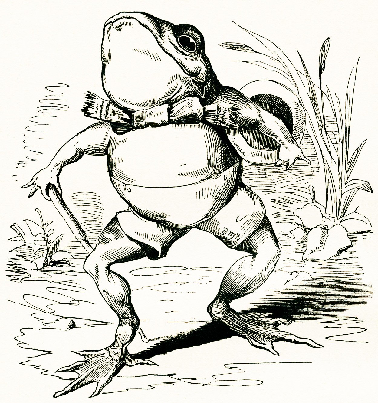 fairytale frog, free vintage clipart frog, free vintage image, frog illustration, frog walking sketch, frog wearing clothes, storybook frog
