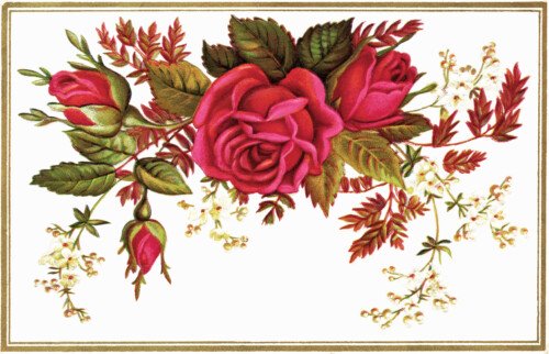 Free vintage floral clip art red rose