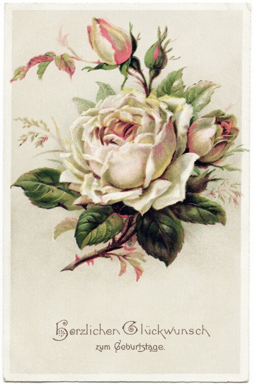 Free Vintage Clip Art Light Pink Rose German Postcard