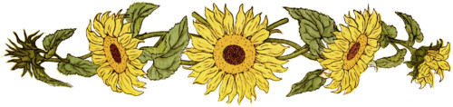 free digital image, kate greenaway flower, sunflower clipart, free printable sunflower, sunflower graphic