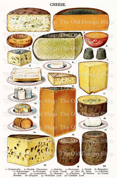 mrs beeton cheese, vintage cheese clipart, dairy clip art, printable food graphics, antique cookbook image
