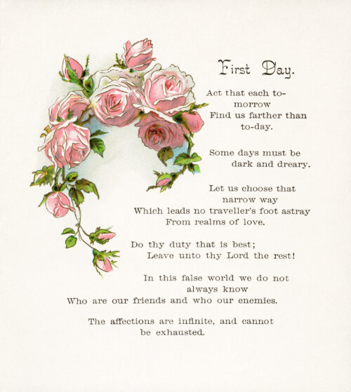 Free vintage illustrated poem pink roses