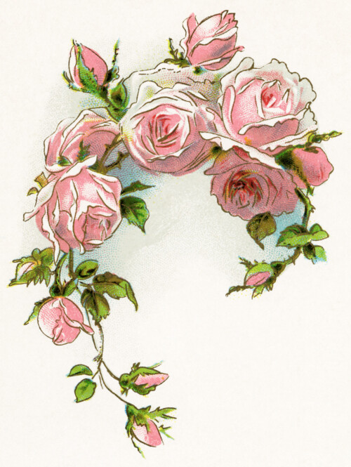Free vintage pink rose clip art