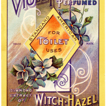 vintage label graphic, violet witch hazel, free vintage perfume label, antique toilet water