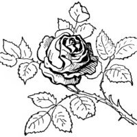 black and white clip art, digital rose graphic, printable rose image, vintage clipart flower, antique rose illustration