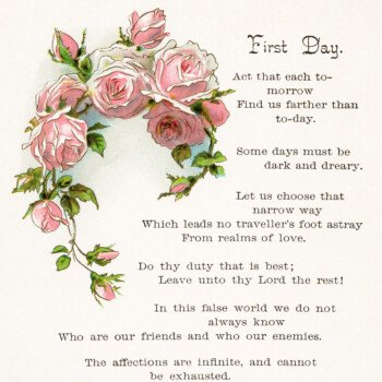 Free vintage illustrated poem pink roses
