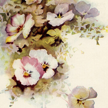 Free vintage clip art pansy cluster floral illustration