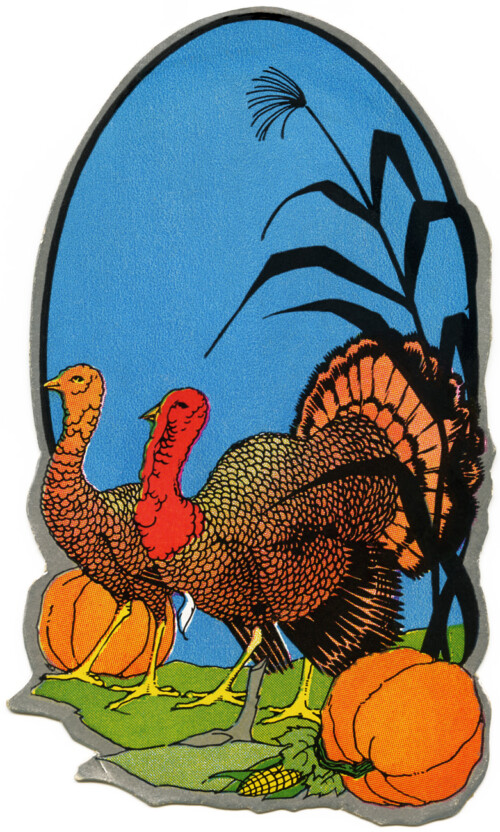 free thanksgiving clipart, free vintage image, turkey graphic, antique thanksgiving illustration, turkey pumpkin clip art