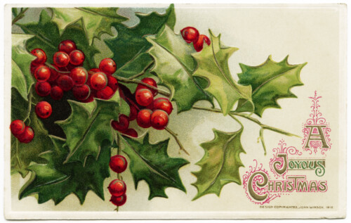 Free vintage clip art Christmas postcard Winsch holly berries