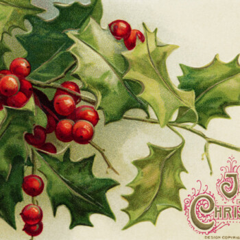 Free vintage clip art Christmas postcard Winsch holly berries