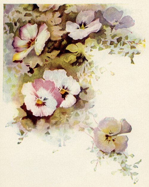 Free vintage clip art pansy cluster floral illustration