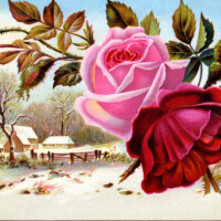 Free vintage clip art Victorian trading card pink red rose over winter country scene