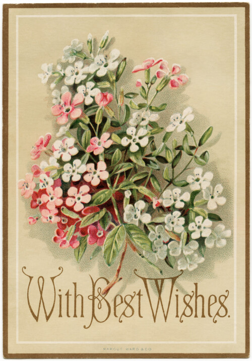 marcus ward co, antique greeting card, vintage floral card, best wishes greeting, pink white flowers graphic