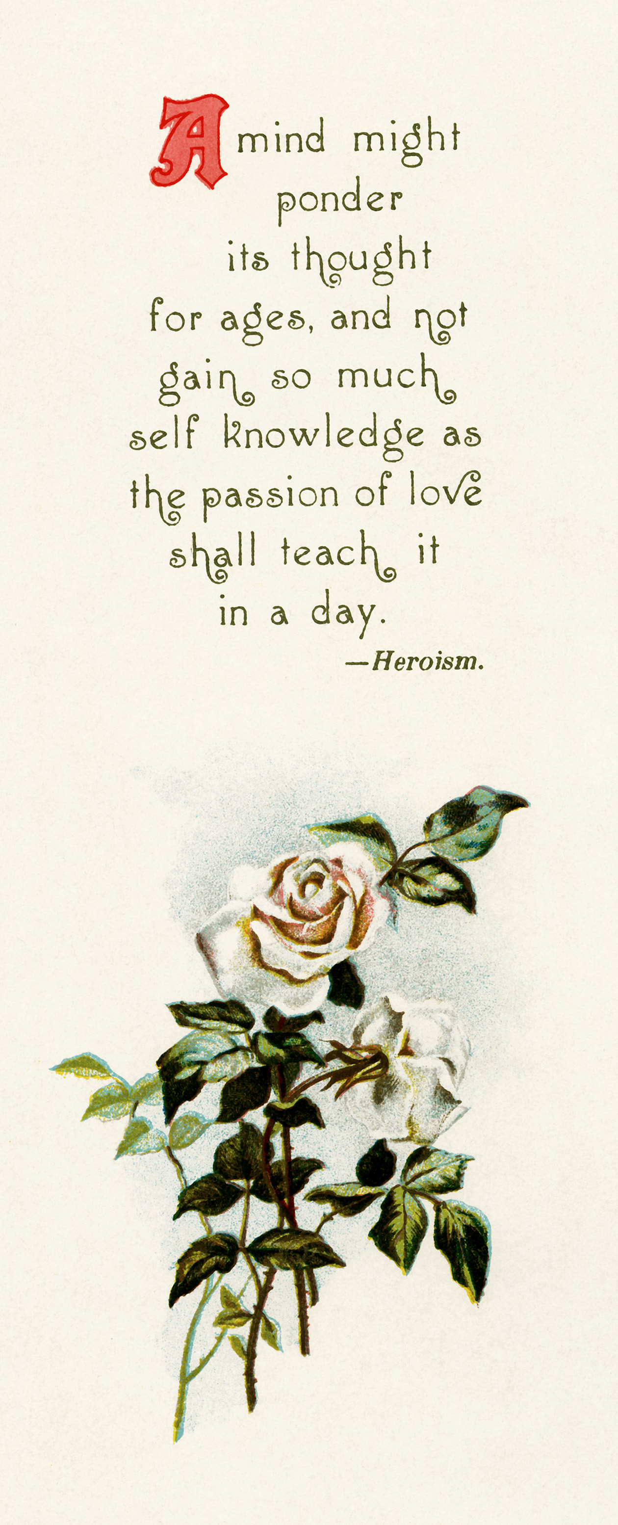 Emerson Love Poem and Rose Illustration - The Old Design Shop