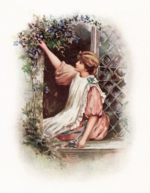 wild flowers from whittier, girl picking flowers, young lady seated in window, free vintage graphic, vine of flowers around window