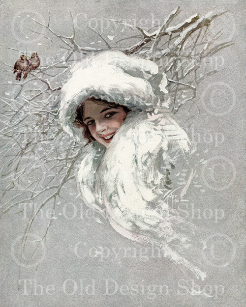 harrison fisher, snowbirds, snow queen, winter image, victorian lady, birds on branch