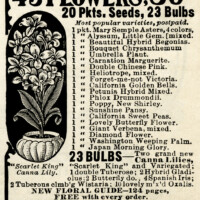 vintage magazine ad, seed packets advert, antique advertisement, flower seeds ad