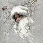 harrison fisher, snowbirds, snow queen, winter image, victorian lady, birds on branch, library cards, digital collage sheet, grungy paper, shabby card