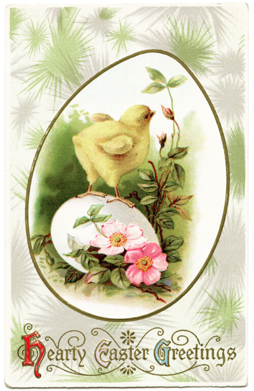 Free vintage clip art Easter chick on egg postcard image