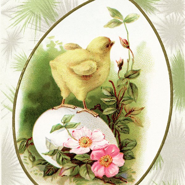 Free vintage clip art Easter chick on egg postcard image