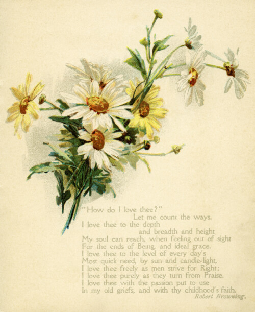 Free vintage clip art love poem daisies