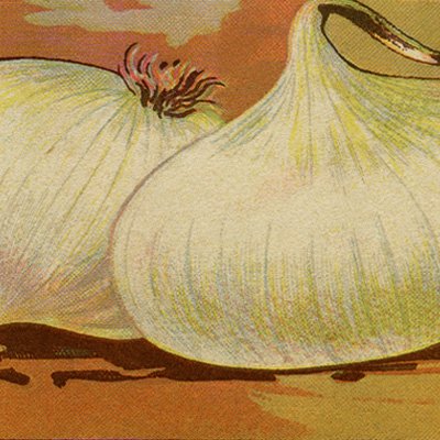 free vintage clip art onion seed pack french garden printable