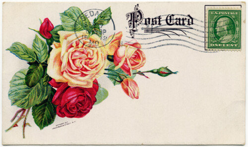 Free vintage clip art rose postcard Archias seed store