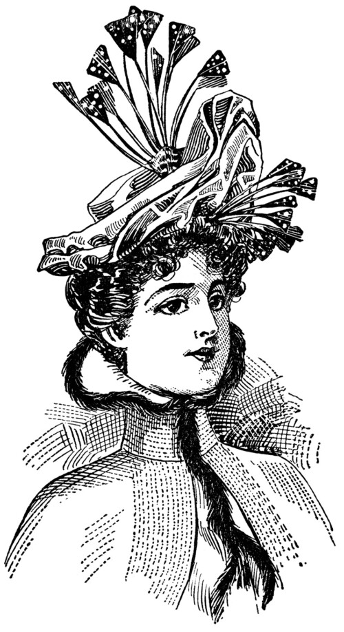Victorian ladies hat clip art illustration